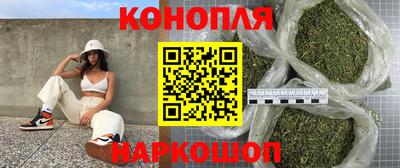 гидропоника Ирбит
