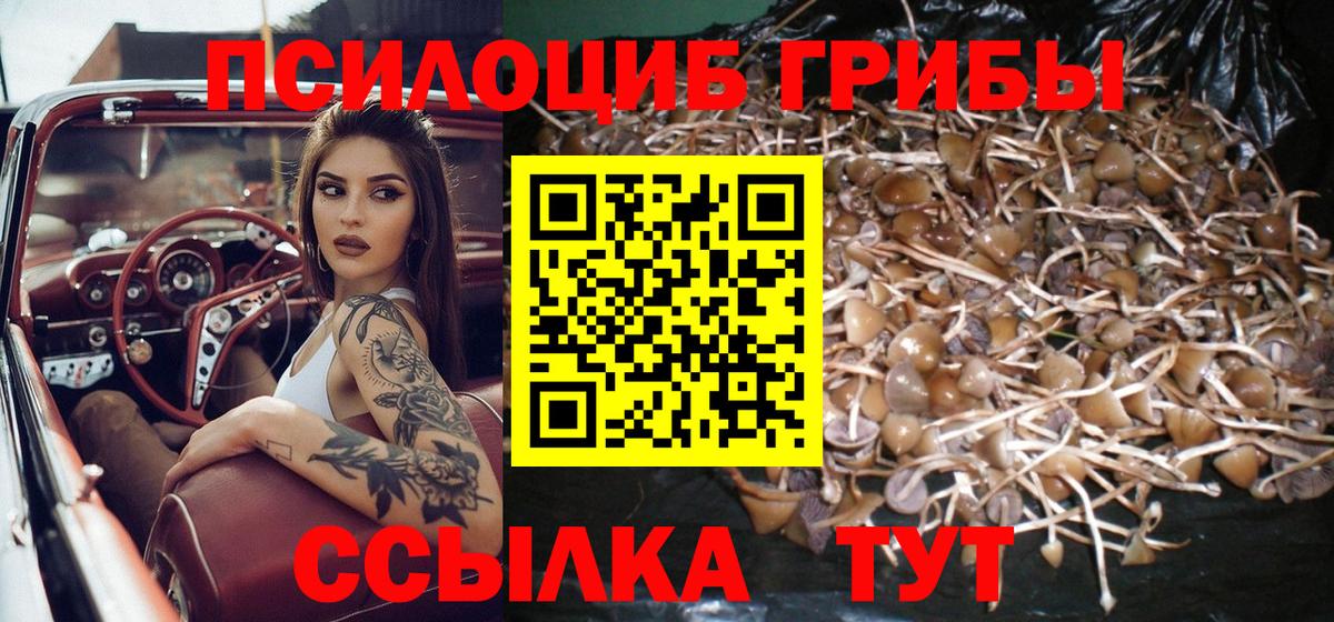 Липецк  Галлюциногенные грибы прущие грибы  Вход с VPN 