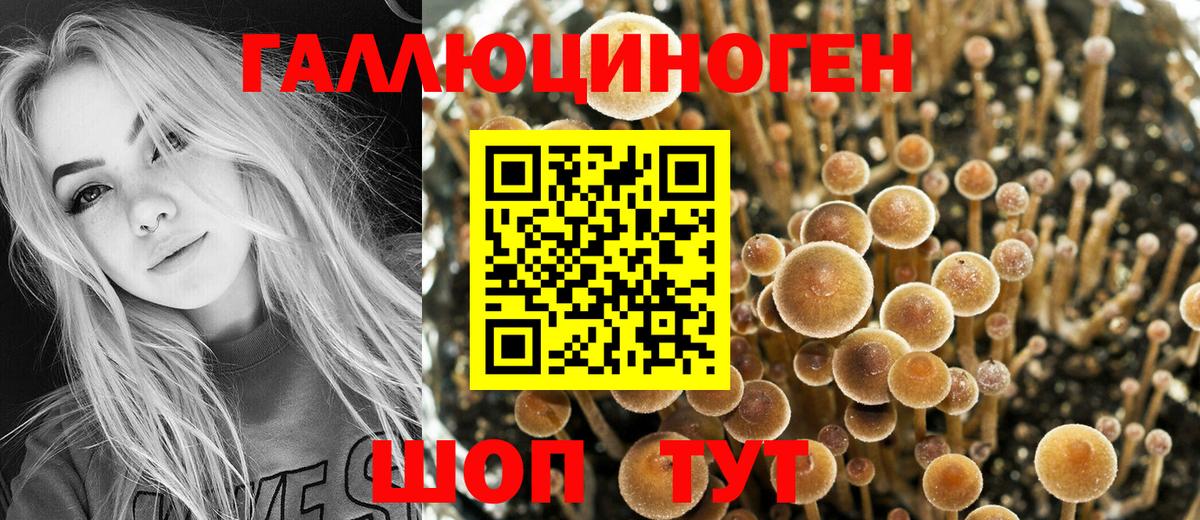 Галлюциногенные грибы Magic Shrooms Липецк